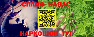 стафф Будённовск