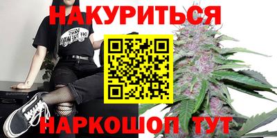 стафф Будённовск
