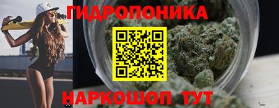 стафф Будённовск